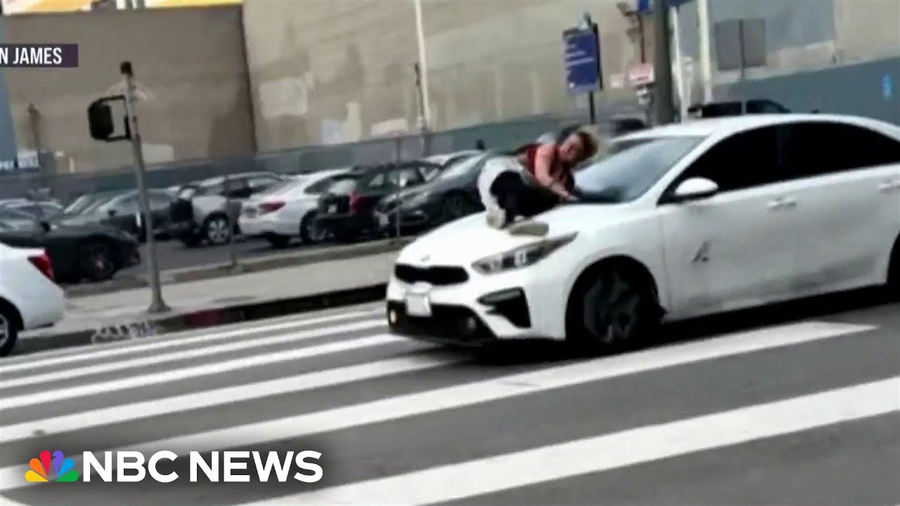 Terrifying ride as L.A. woman tries to stop dognappers