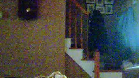 PS3 Eye Stop Motion - Banana Split