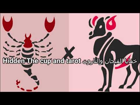 توافق برج العقرب و الحمل