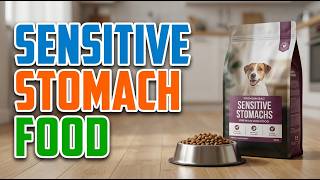 TOP 5 Best Dog Food For Sensitive Stomachs 2026