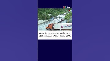 Yêu cầu đẩy nhanh xuất khẩu chính ngạch sang Trung Quốc#shorts #tintuc #vn24 #vtv3 #vtv5 #vtv1