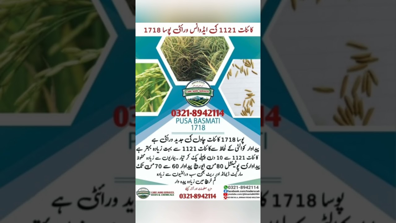کائنات 1121 کی ایڈوانس ورائٹی پوسا 1718