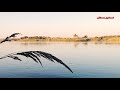 يا عشك الكاع مع لقطات لمنطقة البرت في القائم