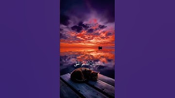 سورة لقمان تلاوات 🩵😴   اسلام_صبحي#short