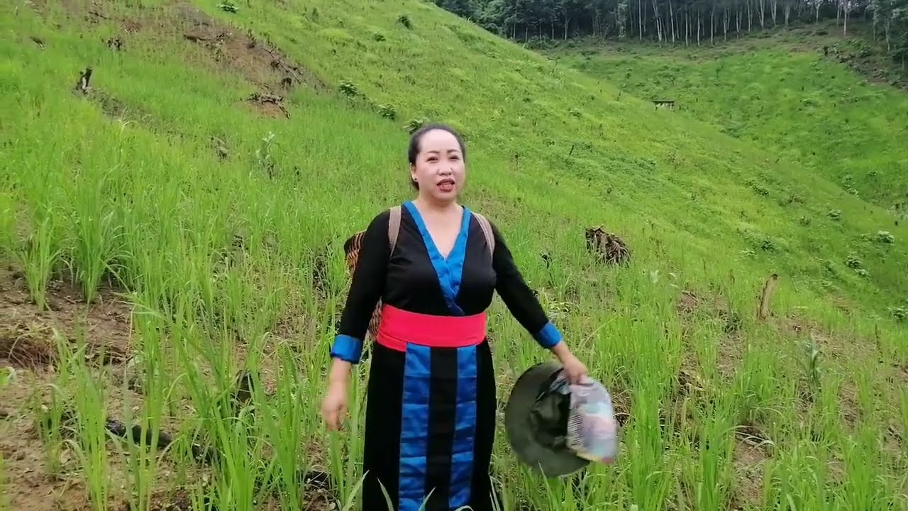 Kwv​ txhiaj​ nkauj​ nraug​ tsis​ sib​ tau​