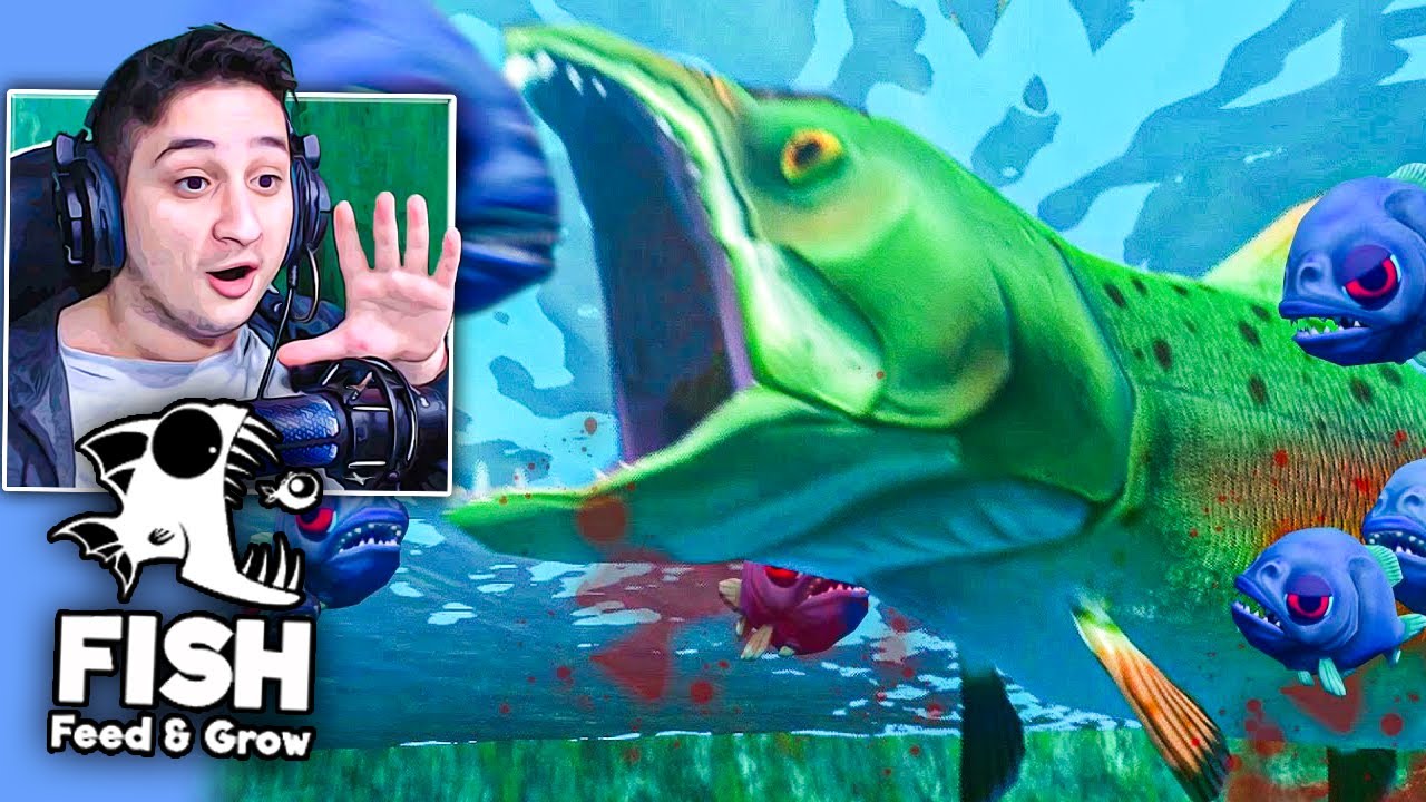 ჭამე და გაიზარდე დაჯუფება სალმონი Feed and Grow Fish