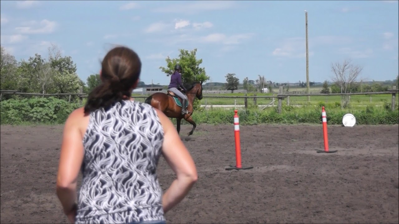 SOLD-Emily and Diamond at home