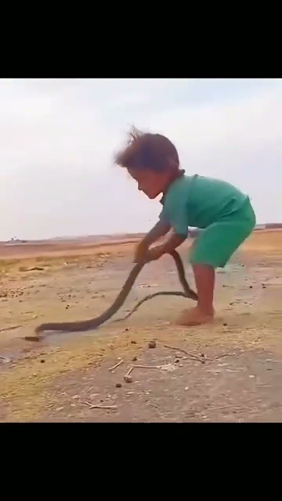 طيور الجنة فرع اليمن لله دركم يااطفال بلادي اليمن