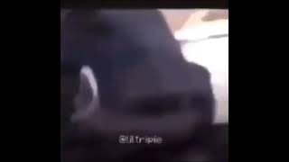 Me Twerk To Some Music