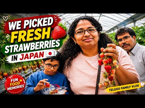 Fresh Strawberries Straight from the Farm! 🍓 Japan Vlog 🇯🇵 | Indian family|