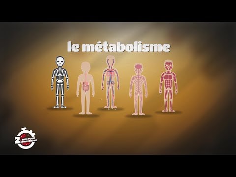 Vidéo: Pourquoi l'anabolisme est alimenté par le catabolisme ?