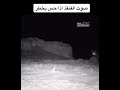 صوت القنفذ اذا شعر بالخطر صوت القنفذ اذا شعر بالخطر