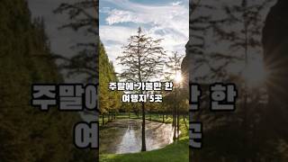 [주말에 가볼만 한 곳] 도심 근교 여행지📍#국내여행지추천 #국내여행지 #국내여행 #국내여행추천 #주말가볼만한곳 #5월여행지