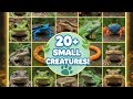#wildlife #nature #art #viral 