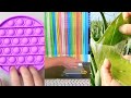 Best Oddly Satisfying Video 😍NO MUSIC😍for Sleep & Relaxation