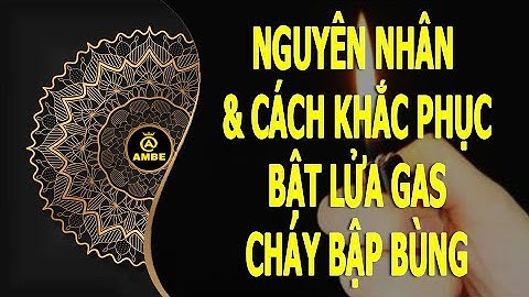 Nguyên nhân bật lửa gas cháy bập bùng và cách khắc phục | Ambe