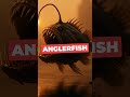 This ocean predator uses light not just to survive, but to deceive. You won't believe your eyes. #Bi