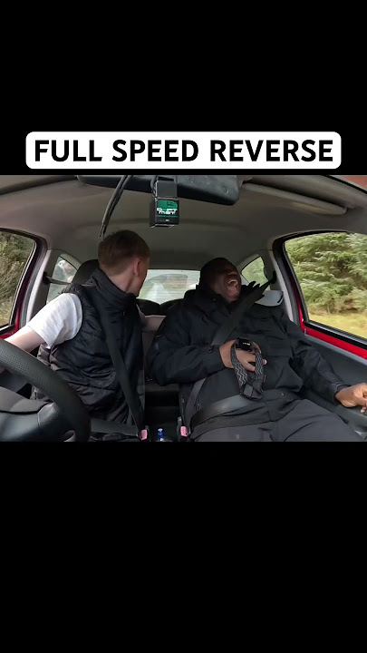 MEET SVEN, The Citroën C1 Peddler 💨💨💨 WATCH THE FULL VIDEO