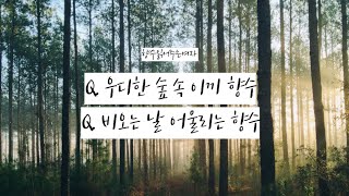 우디한 숲 속 이끼 향수 비오는 날 향수