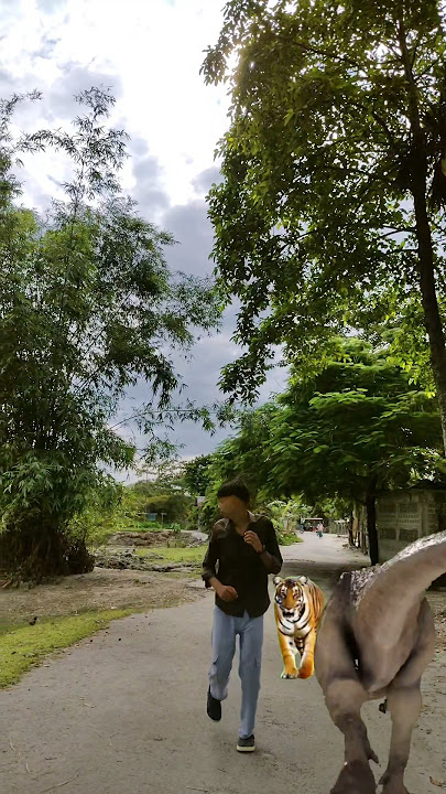 tiger green screen effect video/ green screen effect with lion / sher wali vid...