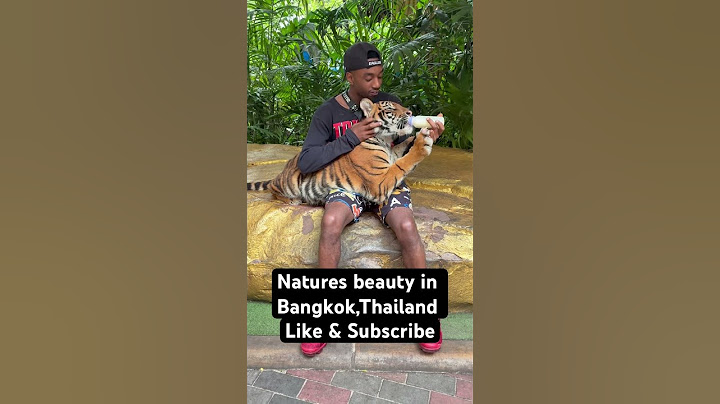 Life in Bangkok Thailand