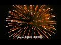 2010 長野県後継者花火コンテスト