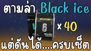 40 Pack ตามล่า Skin สุดฮิต | R6