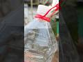 why drinking water have expiry date? #Bisleri #PET #manufacturing