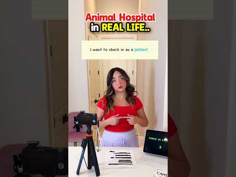 ANIMAL HOSPITAL in Real Life..
