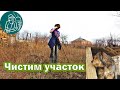 🍅 Чистка участка | Первые всходы