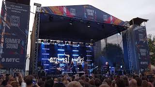 Animal Джаz - заготовка новой песни + Никому @ Flacon, Москва 25.07.2019