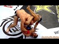 Fabricio Werdum vs Fedor Emelianenko Highlights (Amazing UPSET) #fabriciowerdum #fedoremelianenko