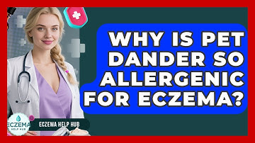 Why Is Pet Dander So Allergenic For Eczema? - Eczema Help Hub