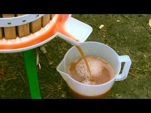 How to Easily make Apple Juice in a Press