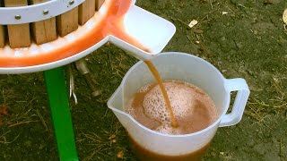 How to Easily make Apple Juice in a Press