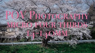 【POV】14-140mm Street Photography with the LUMIX GH5S　秋田市太平川沿いから千秋公園そして秋田駅前周辺   240414桜の季節