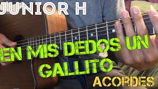 En Mis Dedos Un Gallito (ACORDES) — Junior H chords