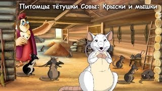 Мои домашние питомцы - Крысы и мышки (Уроки тетушки Совы) серия 7