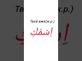 Местоимения арабского языка. #arabic #alif #коран #байнаядайк#shorts#арабский #чтениекорана#религия