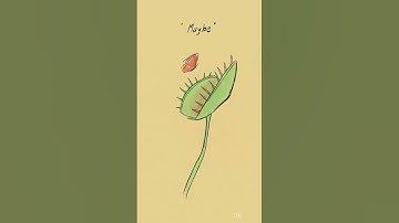 Do you think we are together in every universe?  #art #oc #love #drawing #flowers #animation #fyp