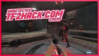 TF2HACK.COM - BEST TF2 LEGIT HACK