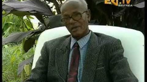 Report - Veteran Fighter Mohammed Seid Nawd