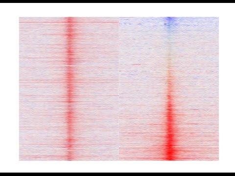 Video: ŠANCE: Komplexný Softvér Na Kontrolu Kvality A Validáciu údajov ChIP-seq