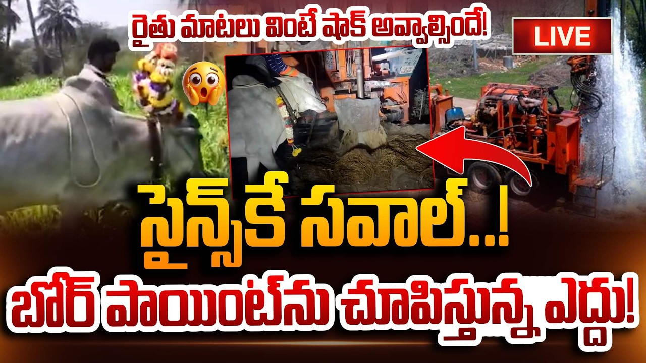 🔴LIVE : బోర్ పాయింట్‌ను చూస్తున్న ఎద్దు.. || Amazing Ox Detects Water Underground In Chittoor