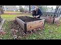 End Of Year Garden Mini Tour & Random Seed Experiment // Dirt and Dish