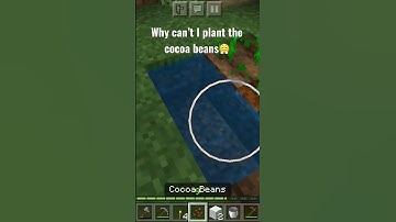 I just want to plant Cocoa Beans!🌴🌱 #shorts #minecraftshorts #minecraft
