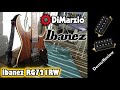 Ibanez Premium RG721RW DiMarzio Tone Zone And Air Norton DEMO REVIEW 