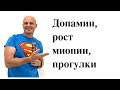 Допамин. Рост миопии. Прогулки