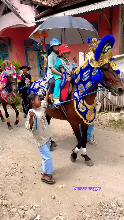Look at the cute little donkeys on the horse, it's going to make you shudder.