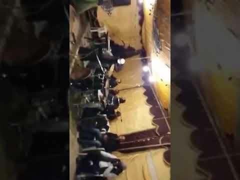 ريقي بعنوان ستنيتها غناء الفنان محمد موسي